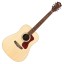 Guild D-240E Dreadnought - Westerly Collection