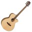 Tanglewood Discovery Super Folk Electro Acoustic Pacific Walnut DBT SFCE PW