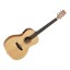 Tanglewood Roadster TW2-T Travel OM All Mahogany