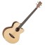 Tanglewood Electro Acoustic Bass DBT-AW-BW