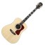 Guild USA D-55 In Natural Gloss