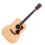 Guild D-260e Deluxe - Ebony Back and Sides - Westerly Collection