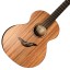 Lakestone 'Haven' All Sapele Fan Fret With Sound Portal Handmade In The UK!