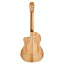 Cordoba C5-CET Spalted Maple Thinline Electro Acoustic Classical