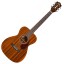 Guild Westerly M-120 All Mahogany With Deluxe GigBag