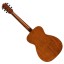 Guild Westerly M-120 All Mahogany With Deluxe GigBag Parlour Guitar