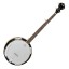 Tanglewood  TWB18M5 5 String Banjo With Maple Back & Remo Head